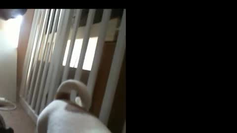 10mm_socket online show from 02/11/26, 06:07