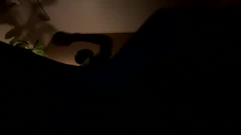 Snapshot of 11rastamilkdudbbc chatting on 03/21/26, 03:22 11rastamilkdudbbc online show from 03/21/26, 03:22