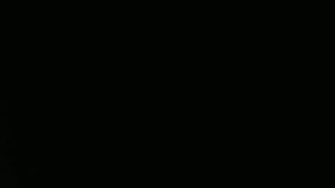 Aurora Willows online show from 04/12/26, 04:45