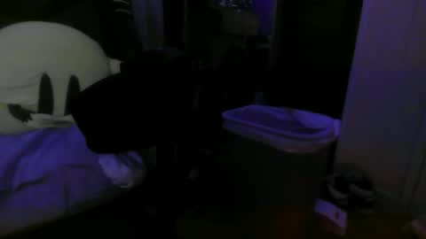 Snapshot of 1337assman1337 chatting on 10/21/25, 09:54 1337assman1337 online show from 10/21/25, 09:54