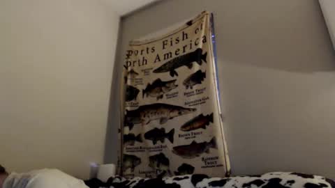 Snapshot of 18str8igcock chatting on 11/01/25, 10:56 18str8igcock online show from 11/01/25, 10:56