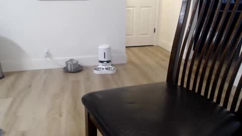 Snapshot of 1dad2plz chatting on 11/09/25, 02:59 i erupt if you suck ur nipples 4 me and look at the camera while watching me online show from 11/09/25, 02:59