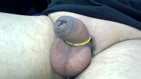 MICA online show from 12/28/24, 05:14