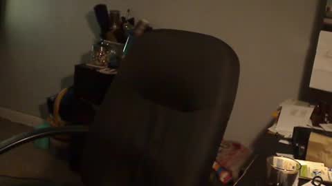 Susan online show from 01/30/25, 01:33