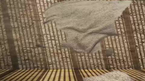 Snapshot of 2hairrypigs chatting on 01/31/26, 07:23 2hairrypigs online show from 01/31/26, 07:23