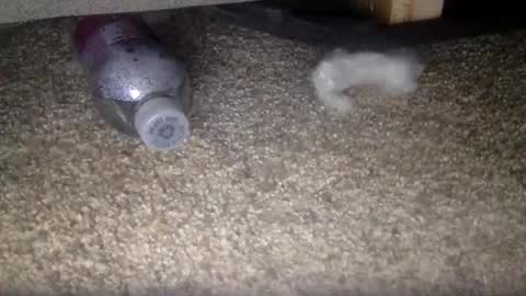 Snapshot of 30nick chatting on 02/10/26, 04:16 30nick online show from 02/10/26, 04:16