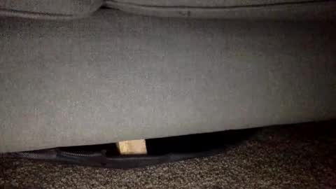 Snapshot of 30nick chatting on 02/25/26, 05:50 30nick online show from 02/25/26, 05:50