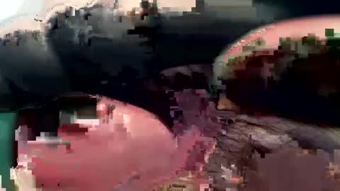 Snapshot of 420_johnnystamina chatting on 02/15/25, 04:45 420_johnnystamina online show from 02/15/25, 04:45