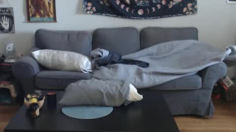 Snapshot of 420randomguy chatting on 03/13/26, 01:07 Anomander Rake online show from 03/13/26, 01:07