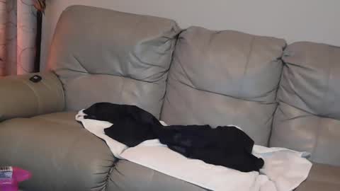 Jane online show from 01/01/25, 08:04