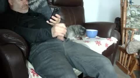 66bear online show from 10/31/25, 05:47