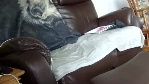 66bear online show from 12/14/25, 03:28