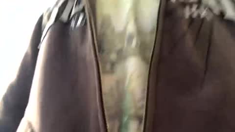 6990fiko online show from 01/13/25, 10:36