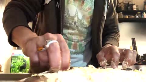 6990fiko online show from 02/01/25, 05:47