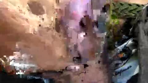 6990fiko online show from 09/29/25, 09:47