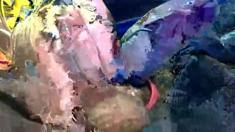 6990fiko online show from 10/27/25, 11:58