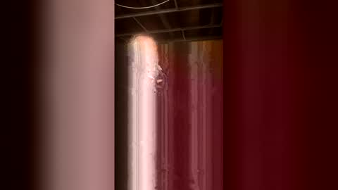 69bidam online show from 05/02/26, 10:31