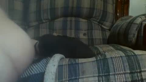 Snapshot of 69sextoyboy69 chatting on 01/16/25, 12:31 69sextoyboy69 online show from 01/16/25, 12:31