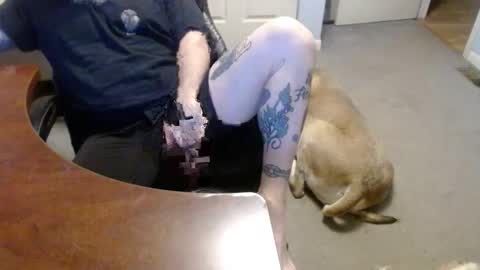 Snapshot of 70paborn chatting on 01/16/26, 05:28 MASTIFF online show from 01/16/26, 05:28