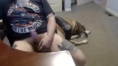 MASTIFF online show from 05/12/26, 12:41