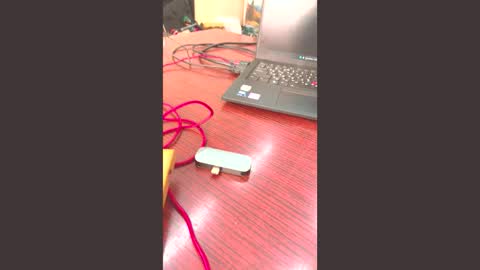 bob big head online show from 02/20/26, 11:11