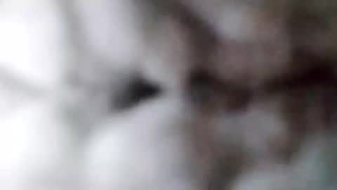 88piterr88 online show from 02/17/25, 08:52