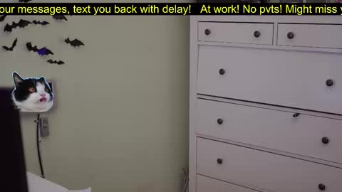 _3x7_ online show from 10/07/25, 06:16