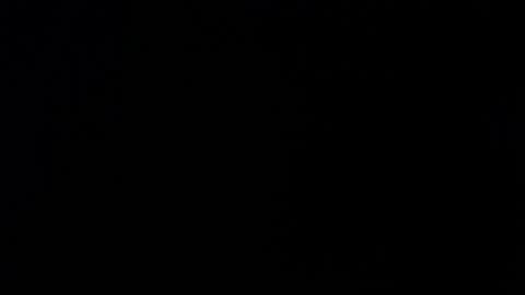 Alexa online show from 11/26/25, 11:55