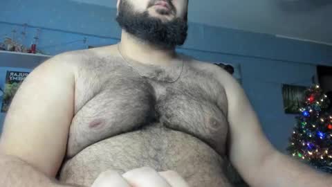 Snapshot of _alan_bear_ chatting on 01/16/25, 03:23 Alan online show from 01/16/25, 03:23