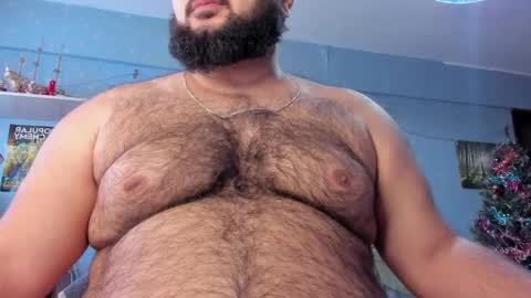 Snapshot of _alan_bear_ chatting on 01/25/25, 09:57 Alan online show from 01/25/25, 09:57