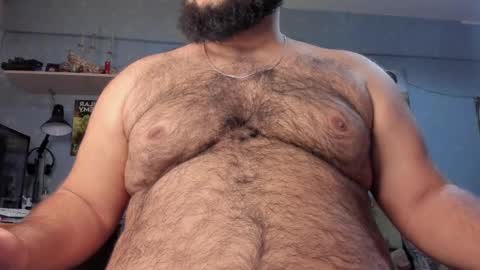 Snapshot of _alan_bear_ chatting on 01/28/25, 02:31 Alan online show from 01/28/25, 02:31