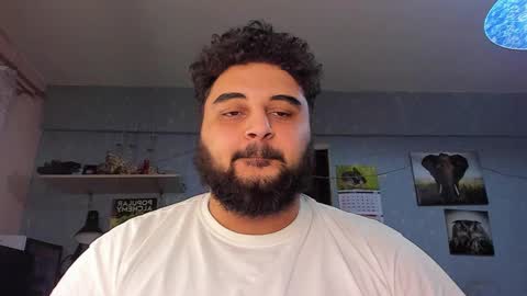 Snapshot of _alan_bear_ chatting on 02/01/25, 03:50 Alan online show from 02/01/25, 03:50