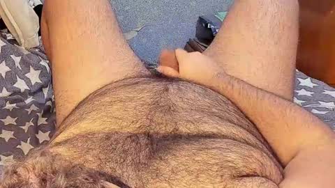 Snapshot of _alan_bear_ chatting on 02/15/25, 03:17 Alan online show from 02/15/25, 03:17