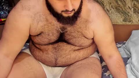 Snapshot of _alan_bear_ chatting on 02/19/25, 03:49 Alan online show from 02/19/25, 03:49