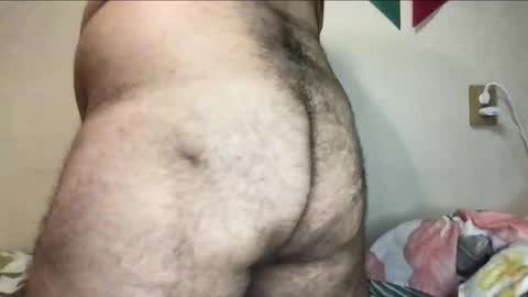 Snapshot of _alan_bear_ chatting on 11/03/25, 06:09 Alan online show from 11/03/25, 06:09