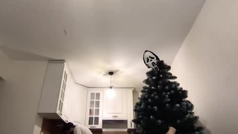 Snapshot of _alan_bear_ chatting on 11/27/25, 12:29 Alan online show from 11/27/25, 12:29