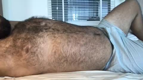 Snapshot of _alan_bear_ chatting on 02/13/26, 03:46 Alan online show from 02/13/26, 03:46