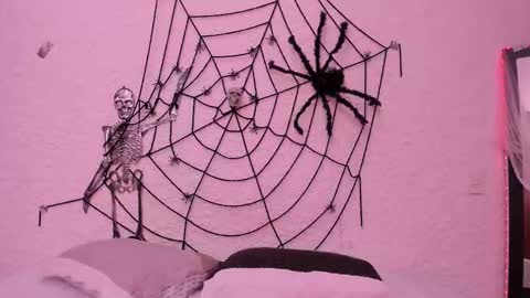 Alexander online show from 10/22/25, 04:46