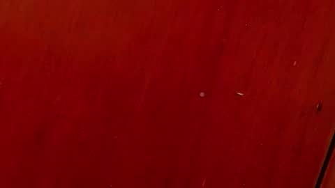 Any online show from 10/04/25, 07:01