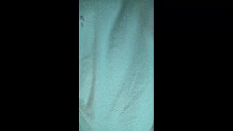 Snapshot of _atenea_golden chatting on 02/15/25, 11:36 atenea online show from 02/15/25, 11:36