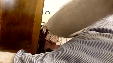 _black_horse_1 online show from 01/24/25, 03:43