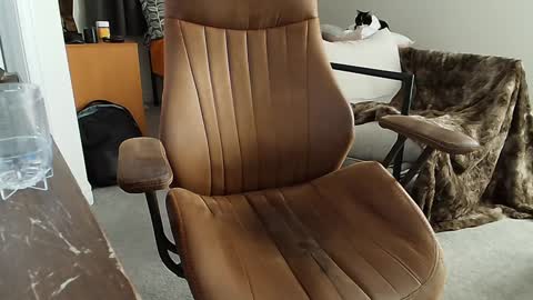 Snapshot of _black_lotus chatting on 02/02/25, 01:34 _black_lotus online show from 02/02/25, 01:34