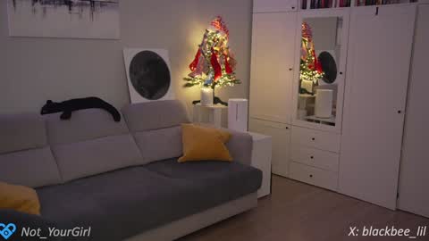 Snapshot of _blackbee_ chatting on 12/11/24, 09:23 Lili online show from 12/11/24, 09:23