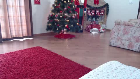 candygirl online show from 01/15/25, 05:58