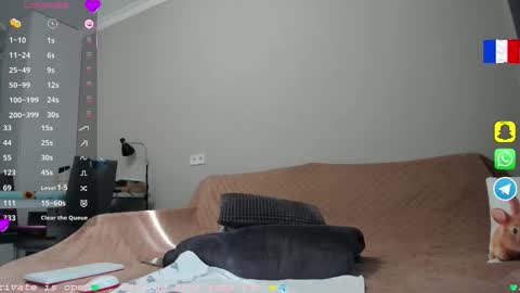 Snapshot of _coquine_ chatting on 11/03/25, 08:37 Sophie online show from 11/03/25, 08:37