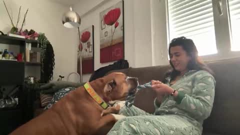  elena barra online show from 11/29/25, 12:41