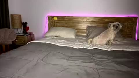 elisa online show from 12/15/25, 08:07