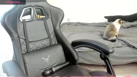 Alis online show from 10/07/25, 07:27