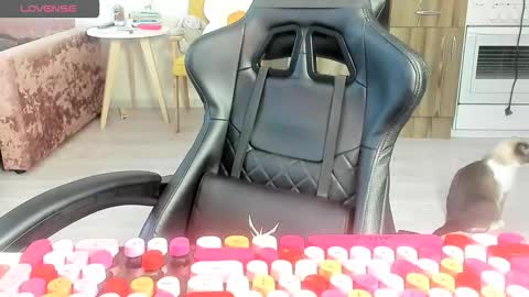 Alis online show from 03/10/26, 06:29