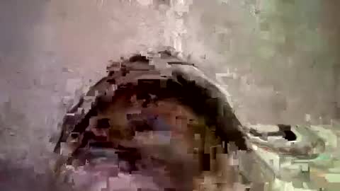 Snapshot of _hershey003 chatting on 01/11/25, 08:33 _hershey003 online show from 01/11/25, 08:33